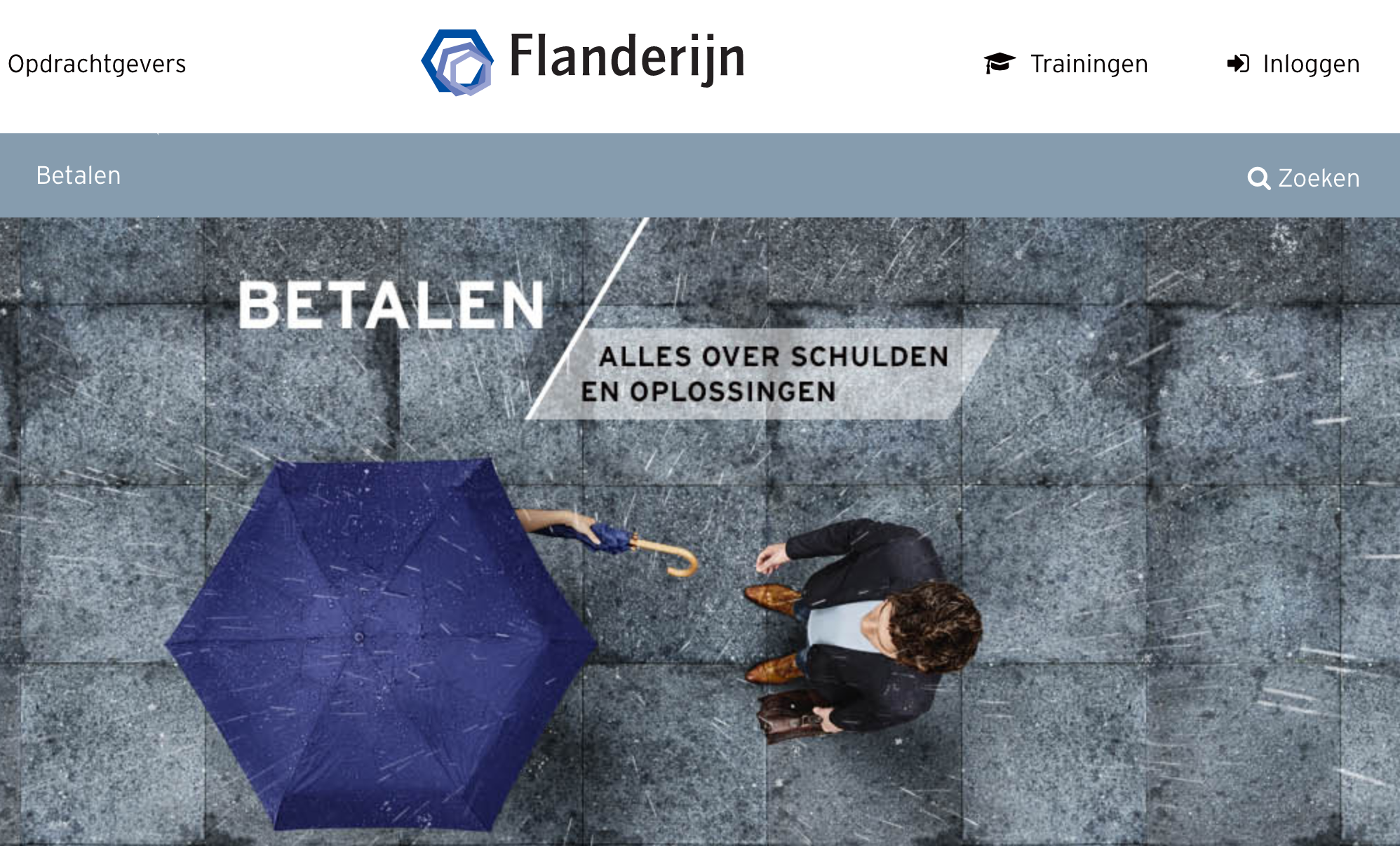 Website Flanderijn
